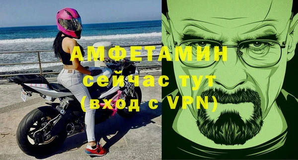 стафф Каменка