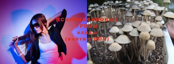 тгк Каменногорск