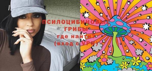 стафф Каменка