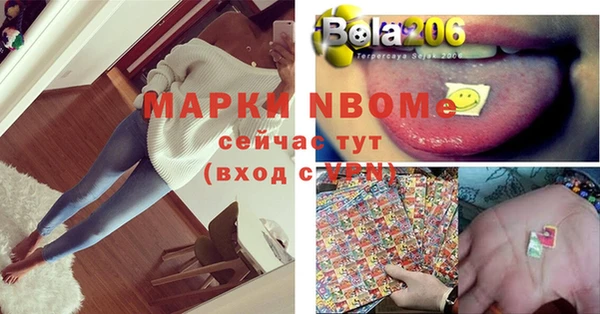 стафф Каменка