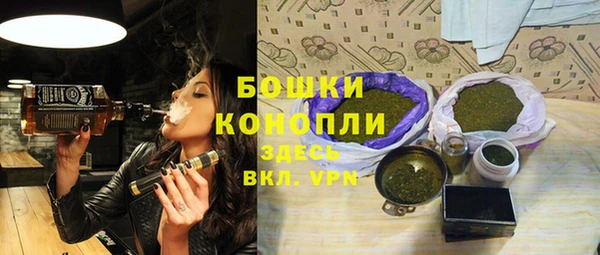 тгк Каменногорск