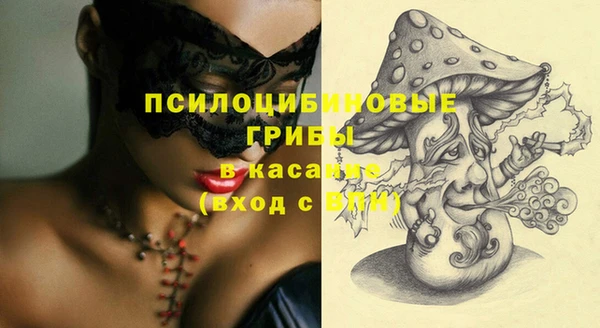 тгк Каменногорск