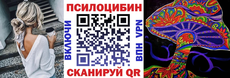 закладка  Новороссийск  Псилоцибиновые грибы мицелий 