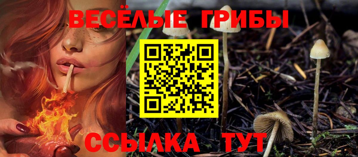 Псилоцибиновые грибы Cubensis Новороссийск