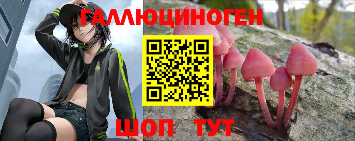 хочу наркоту  Вход с VPN  Новороссийск  Галлюциногенные грибы ЛСД 