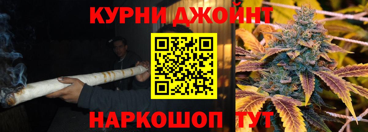 МАРИХУАНА конопля Новороссийск